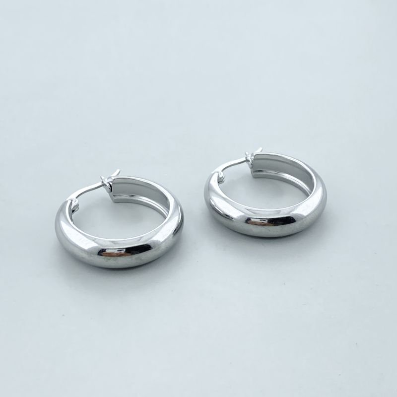 Argola Aço Inox Aro Liso Boleado Fechado 2,5cm