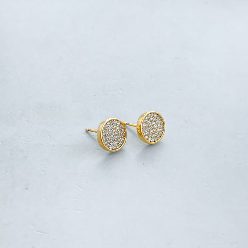 Brinco Folheado Pequeno Cravejado Redondo Borda Lisa